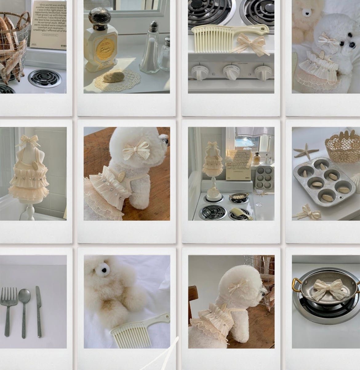 【seenii】SoonSu ops