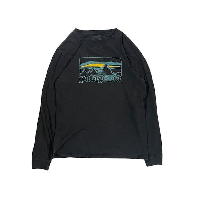 Patagonia long sleeve T shirt