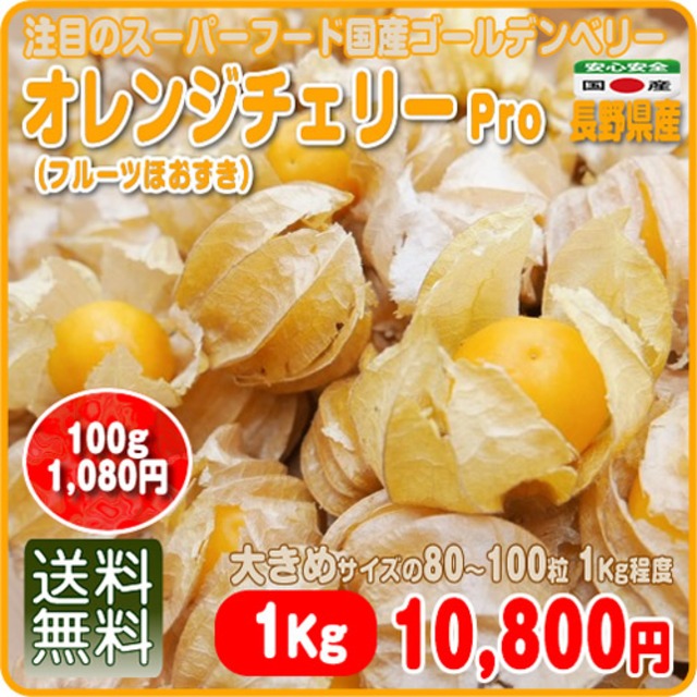 フルーツほおずき オレンジチェリー ｐｒｏ 送料無料 ８０ １００粒 １ｋｇ程度 注目のスーパーフード 大きめなゴールデンベリー 長野県産 イーファーマーズ E Farmers