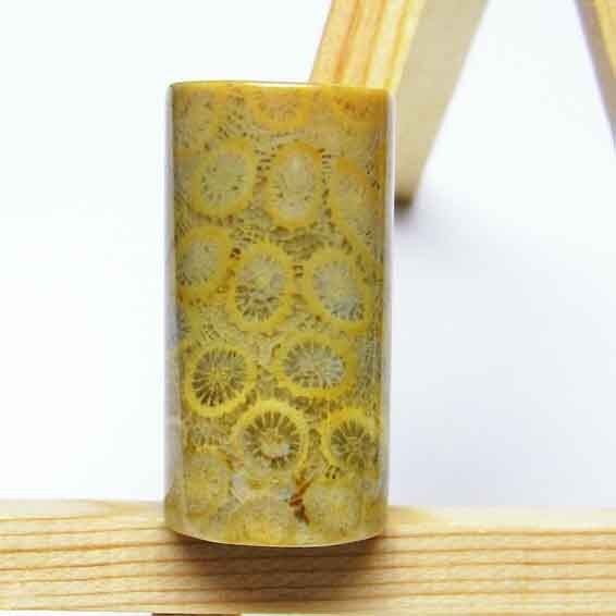 珊瑚 フォッシルコーラル お守り石 タンブル 穴なし [M便 1/10] 145-81