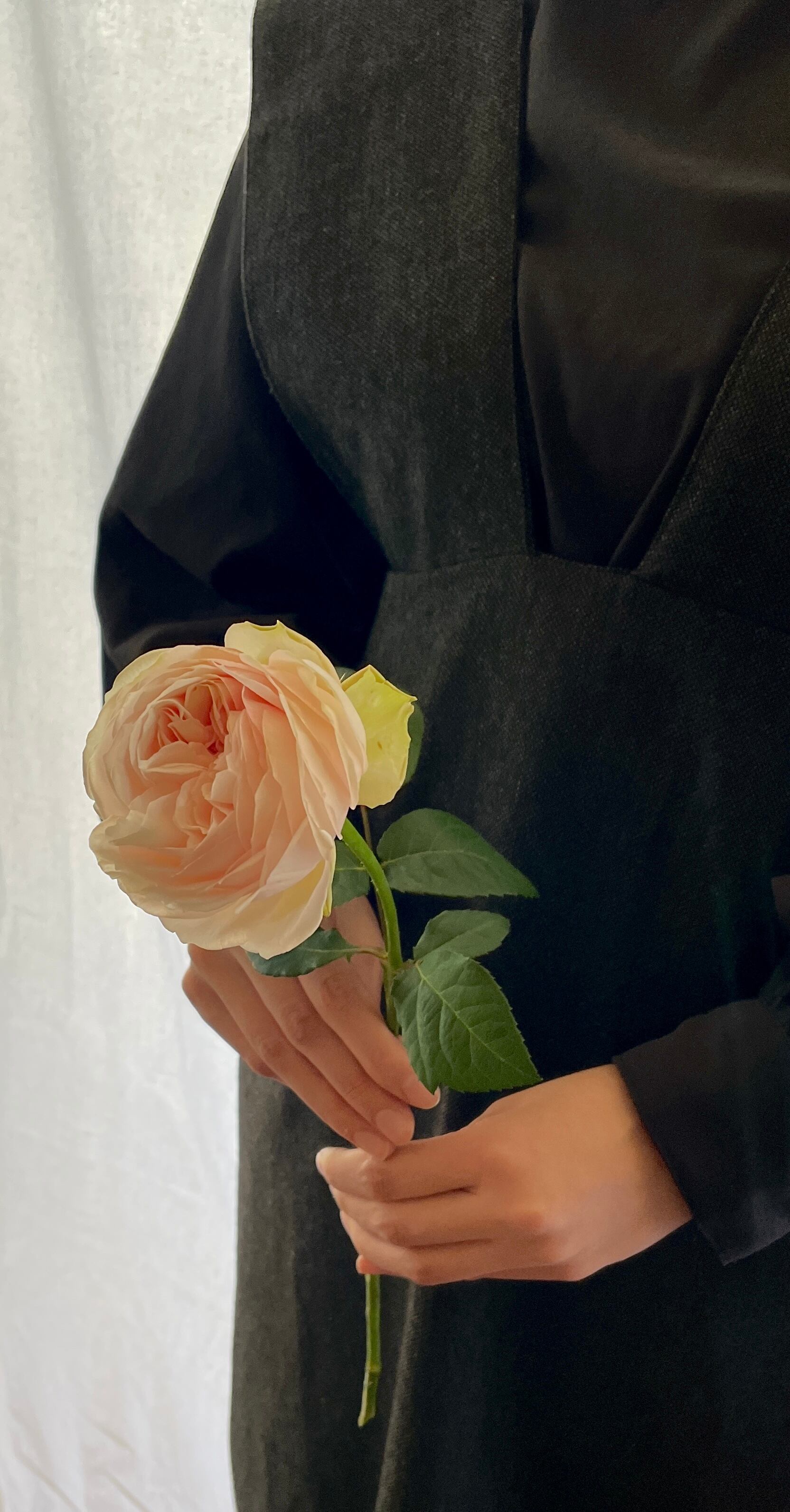 5/11日~12日到着便//thanks flower (M size) //ピンクのバラ   for Mother's Day //