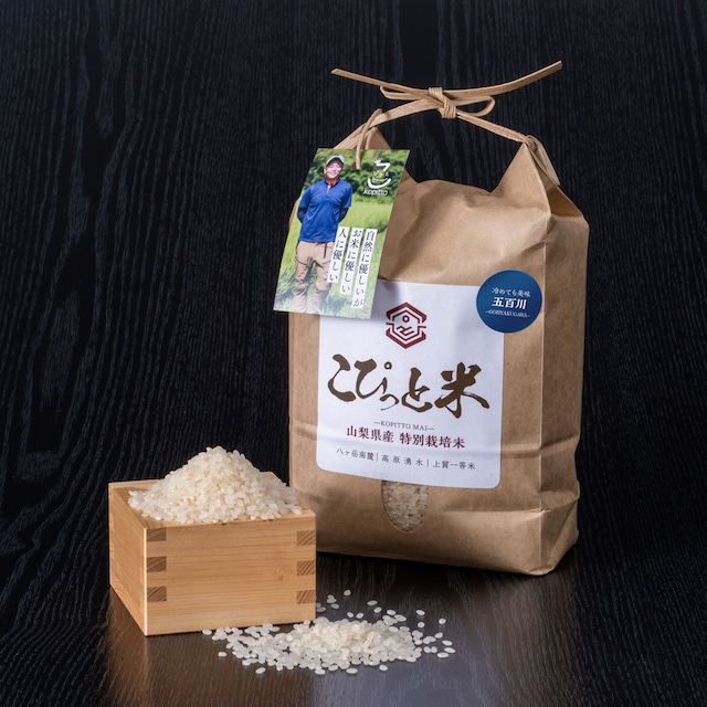 【令和7年産・新米予約】9月初旬~発送予定!冷めても美味しい!【五百川】白米・2kg 特別栽培米 こぴっと米