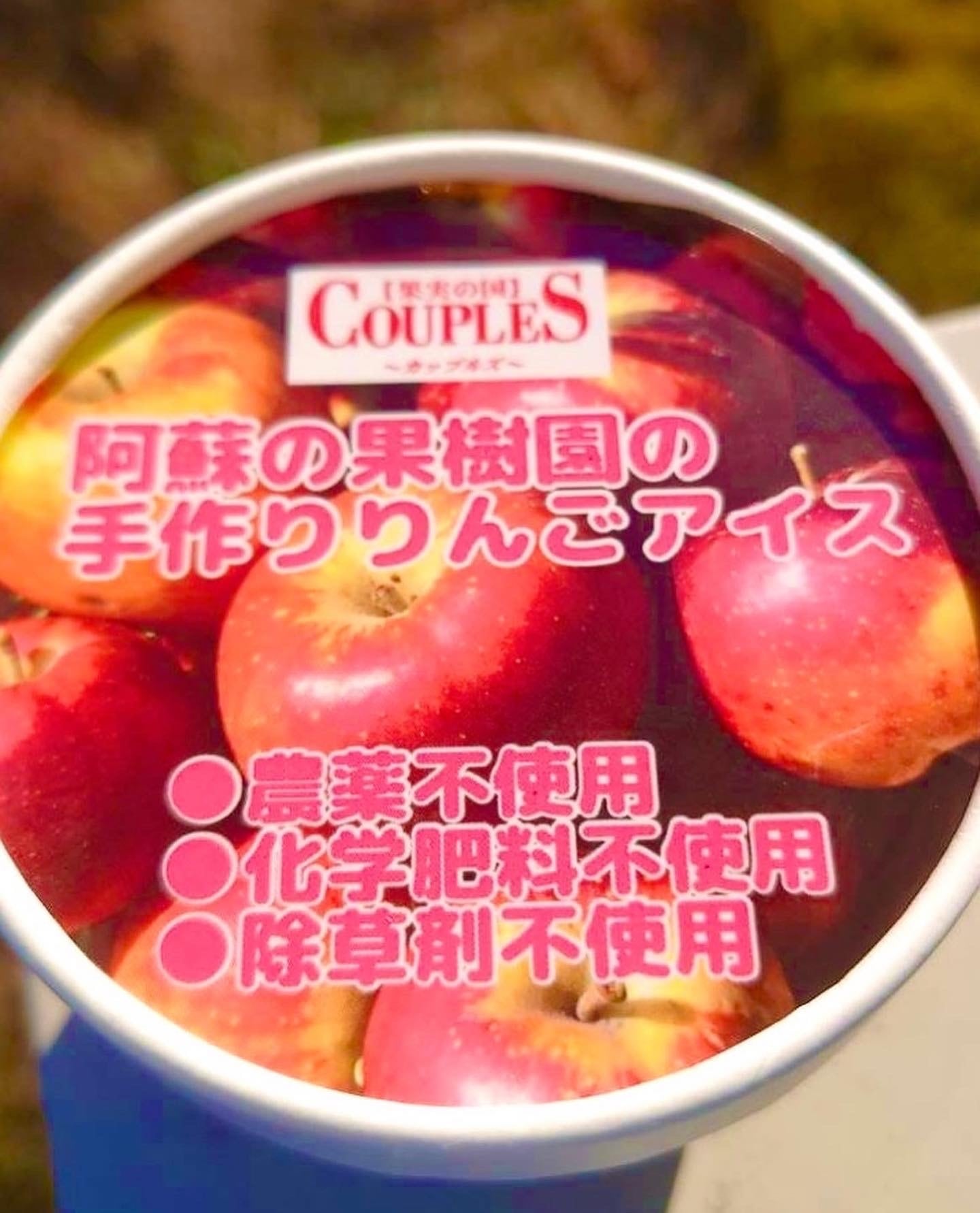 FRUITS　SANCTUARY　とれたて農薬不使用りんごの天然アイス6個セット【数数限定】　NAKAYAMA