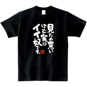 見ため悪いけど実はイイ奴です。 ka400-59 おもしろ 漢字Tシャツ