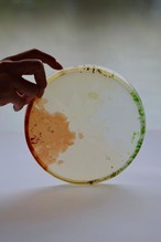 王承龍 Wang Chenglong - 円皿 glass plate M