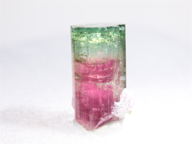 Tourmaline  （Santa Rosa Minas Gerais  Brazil ）