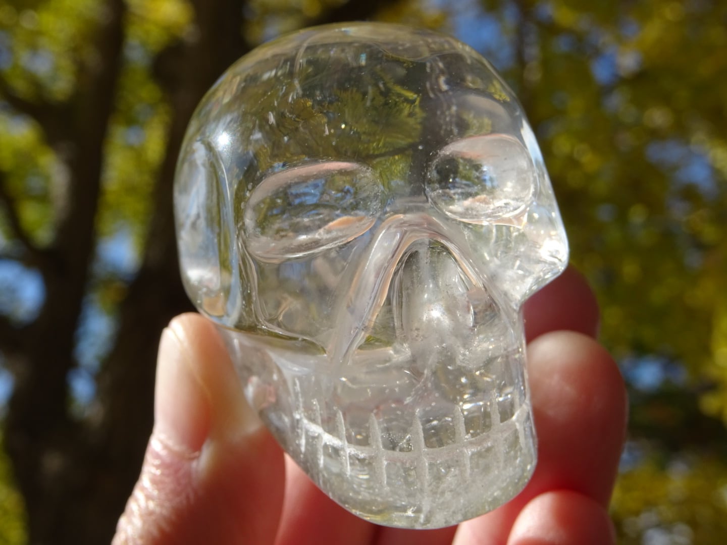 クリスタルスカル(Medium) ~Lightness~