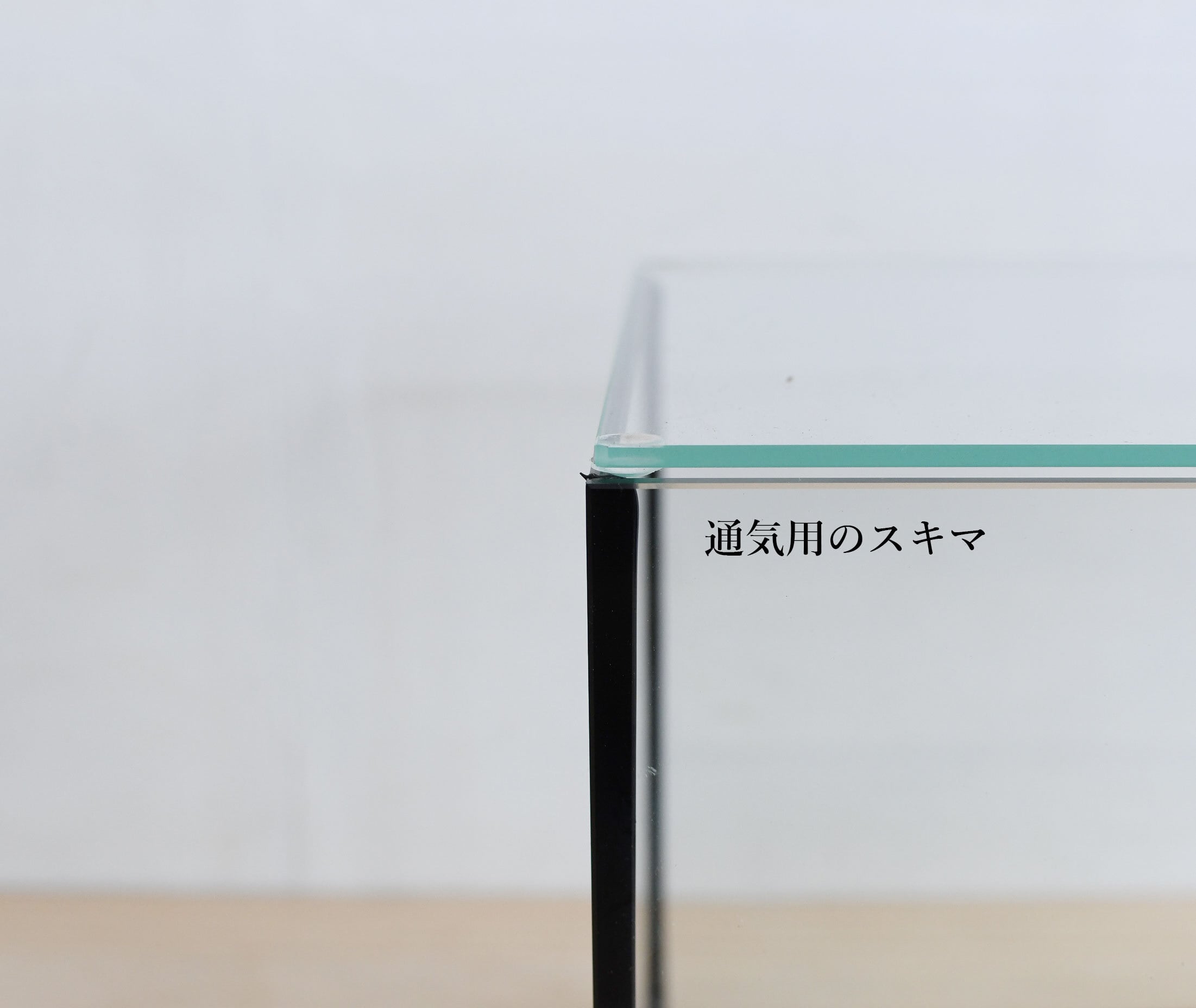 ガラス容器】 苔テラリウム用 25x16cmガラス水槽 （Lowタイプ