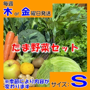 定期便【たま野菜セット　Ｓサイズ】毎週木～金曜日発送【送料無料(クール便)】