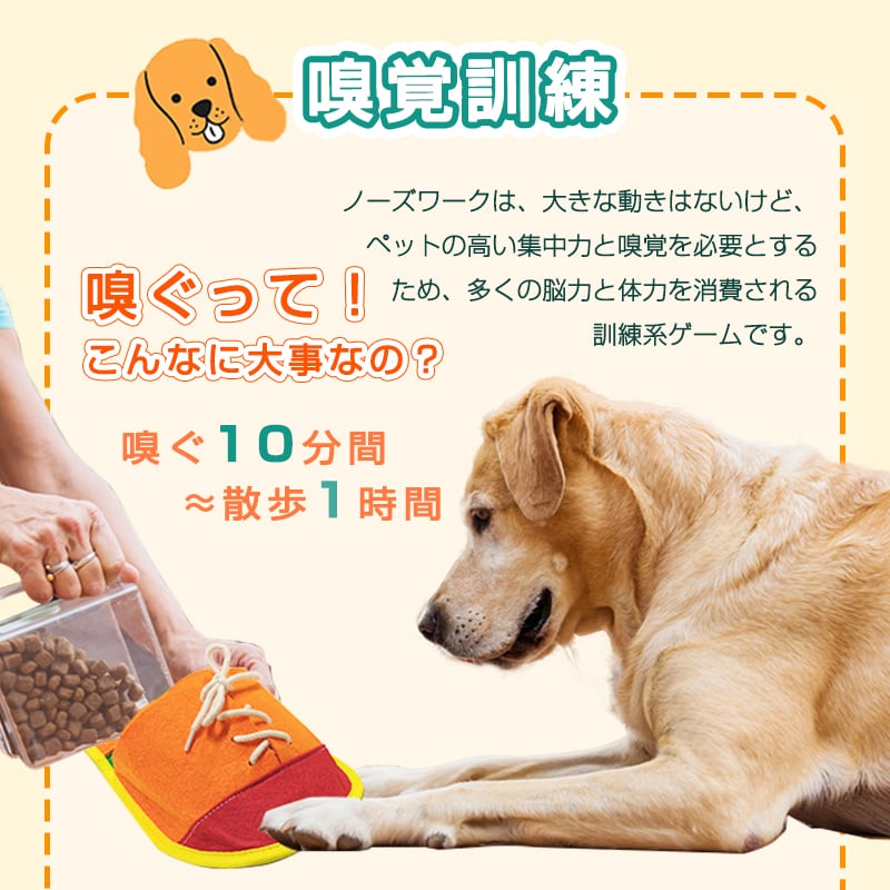 PetSafe】トレーニング機器 犬 ジャンプ ハードルバー (送料込み