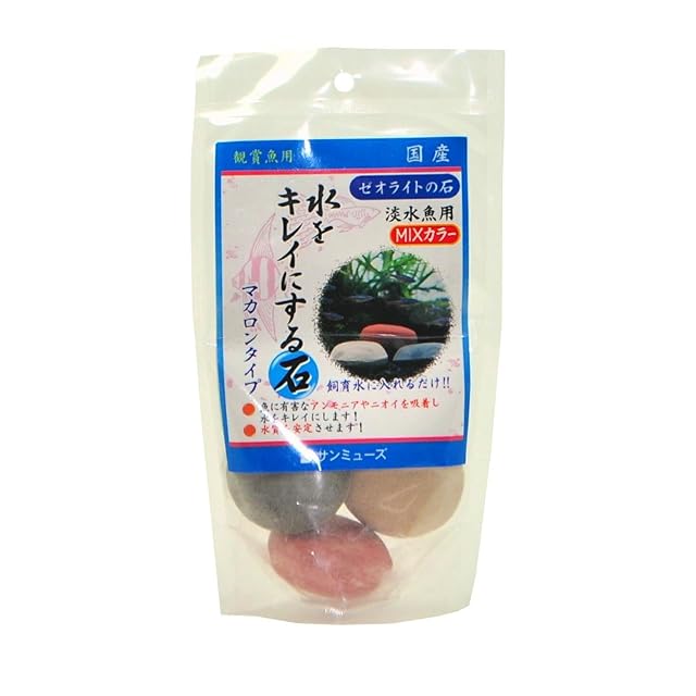 色残抜群】トゲアクマツユムシ リオック 直翅類 カマキリ マンティス