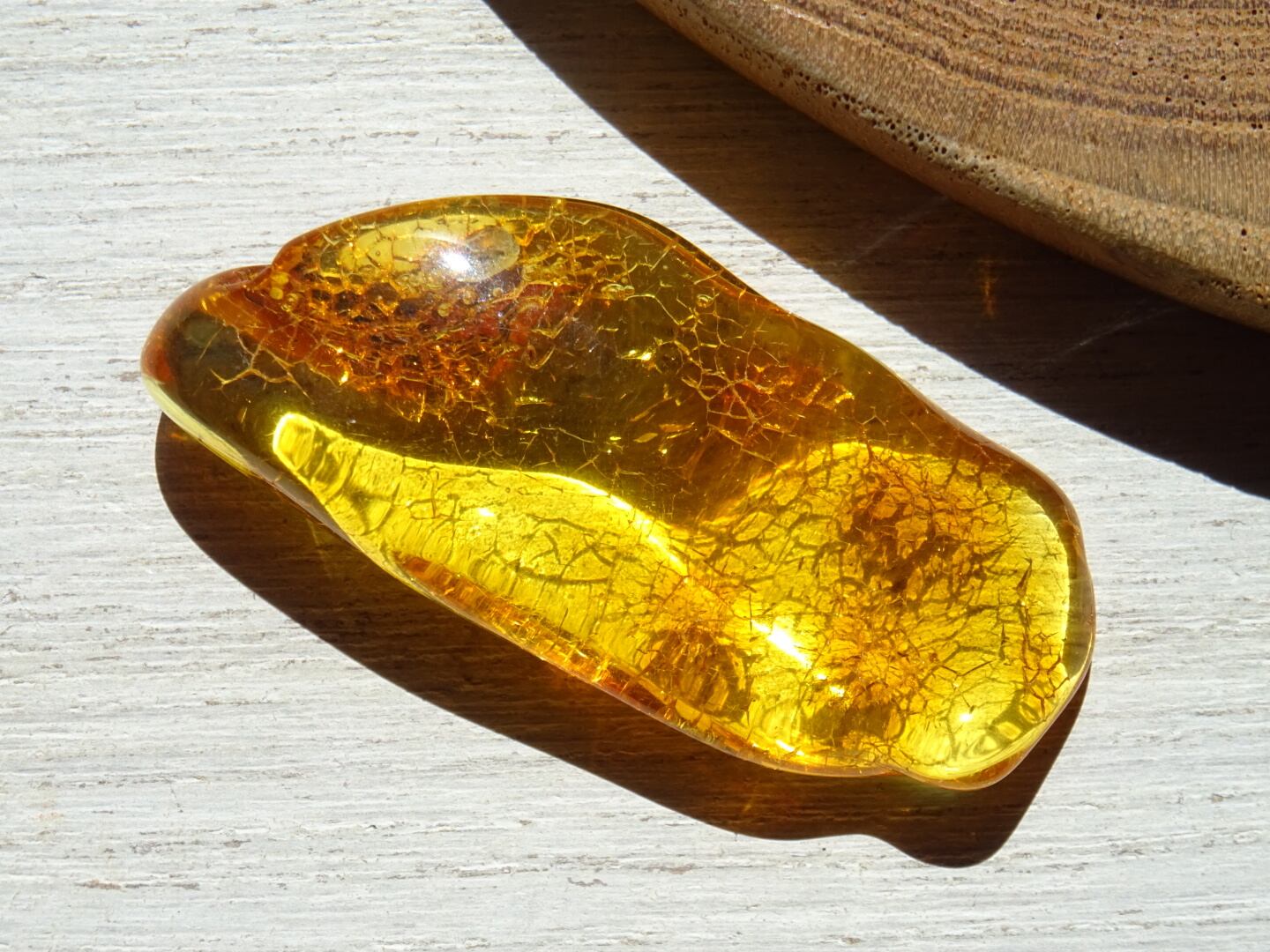 バルティックアンバー（バルト海琥珀） ~Honey The Treasure~ | 虹石屋