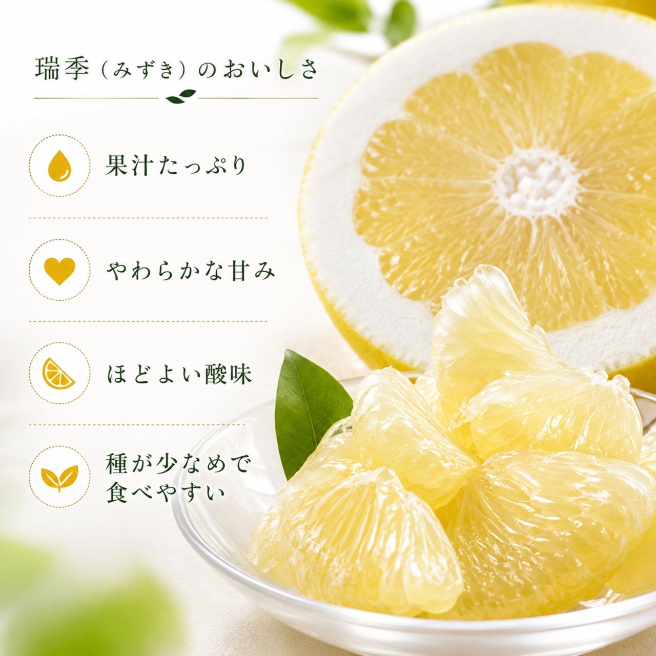 【クール便・送料込み】冷蔵貯蔵 瑞季 約3.2kg｜初回販売価格