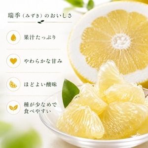 【クール便・送料込み】冷蔵貯蔵 瑞季 約3.2kg｜初回販売価格