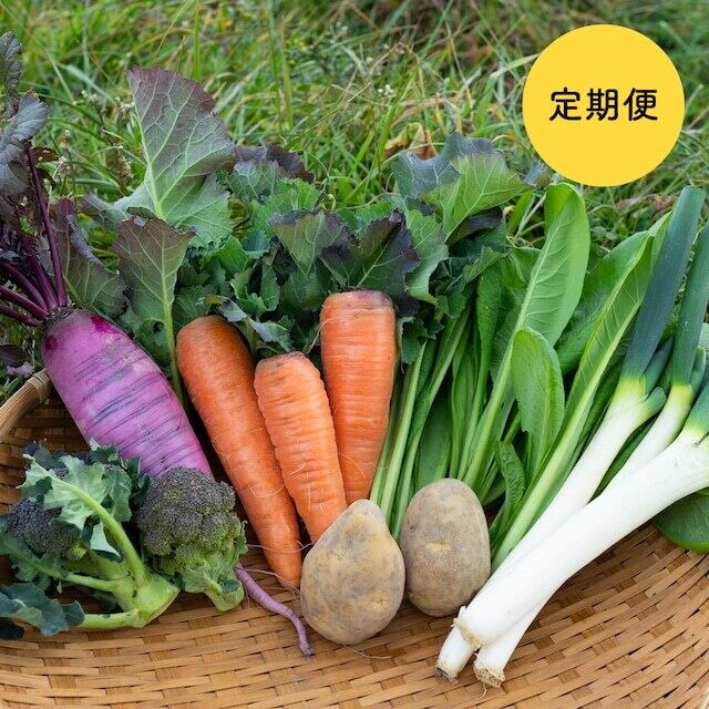 季節の野菜 定期便 毎週】季節の野菜BOX 通常サイズ | 海自然農苑 オンラインストア