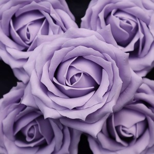 クイーンバラQ-PU2 ライトバイオレット(9輪入り）