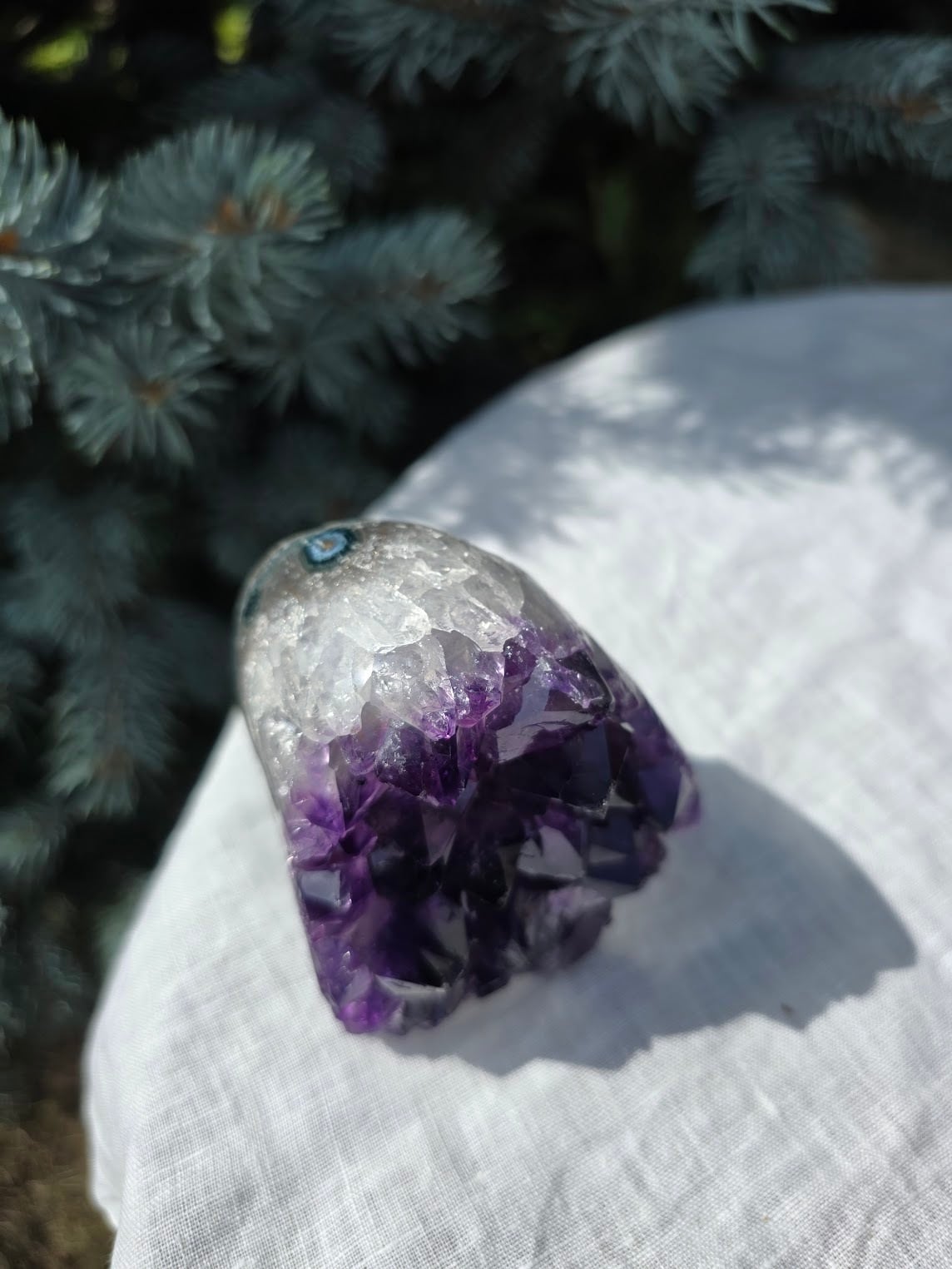 【コレクション】睡蓮花天珠×ウルグアイ産アメジスト コレクション】睡蓮花天珠×ウルグアイ産アメジスト