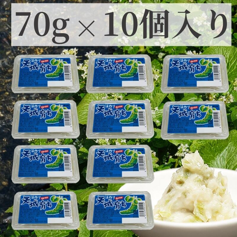 わさび漬け 【70g×10入れ】 おつまみ、板わさに・ 静岡県産 本わさび