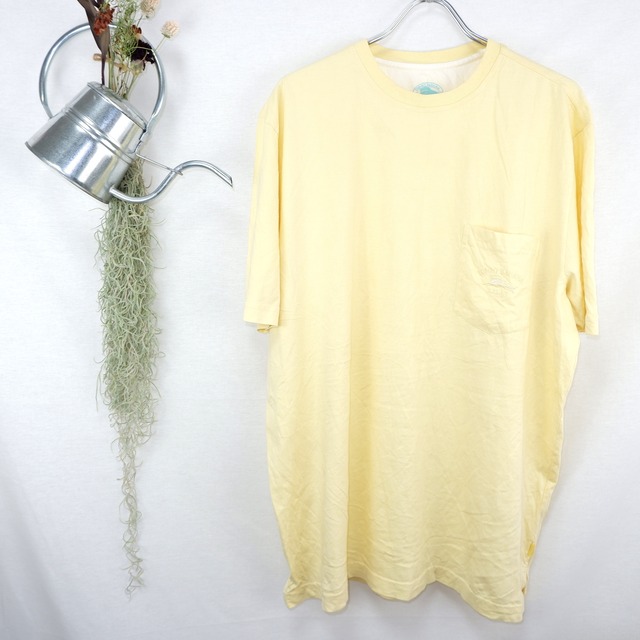 Light Yellow Tee | 薄黄色 Tシャツ