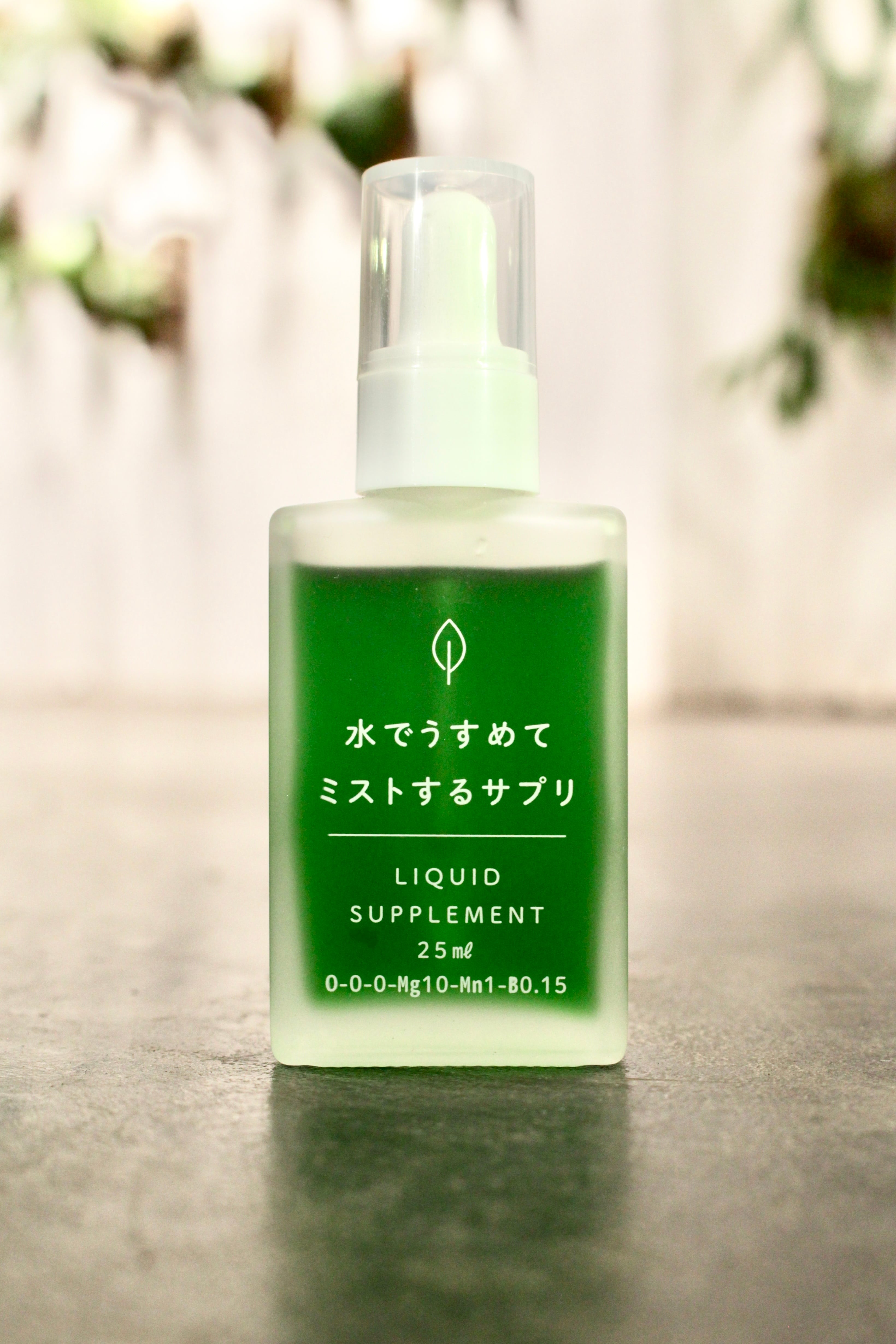 P. 'Paragon' ビカクシダ 'パラゴン' | vandaka plants