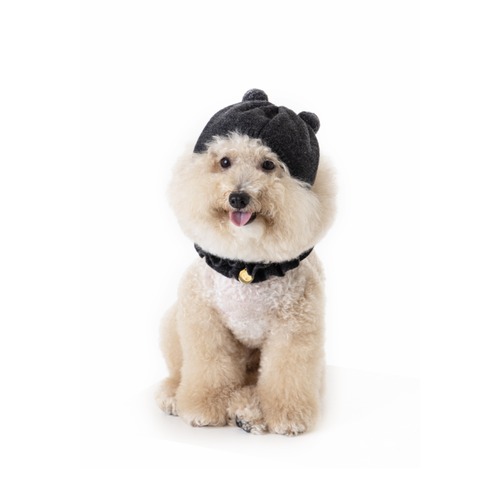 〈予約アイテム〉PEBBLES / PEWOOL PUPPY PUPPY BEANIE（Gray）Mサイズ