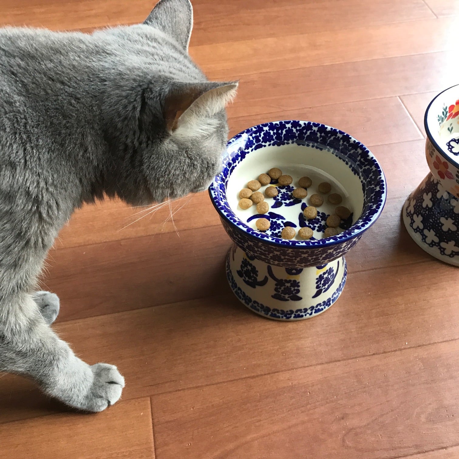 ポーランド陶器 ペットボウル 高さのあるお皿 猫と肉球柄 | 猫グッズの