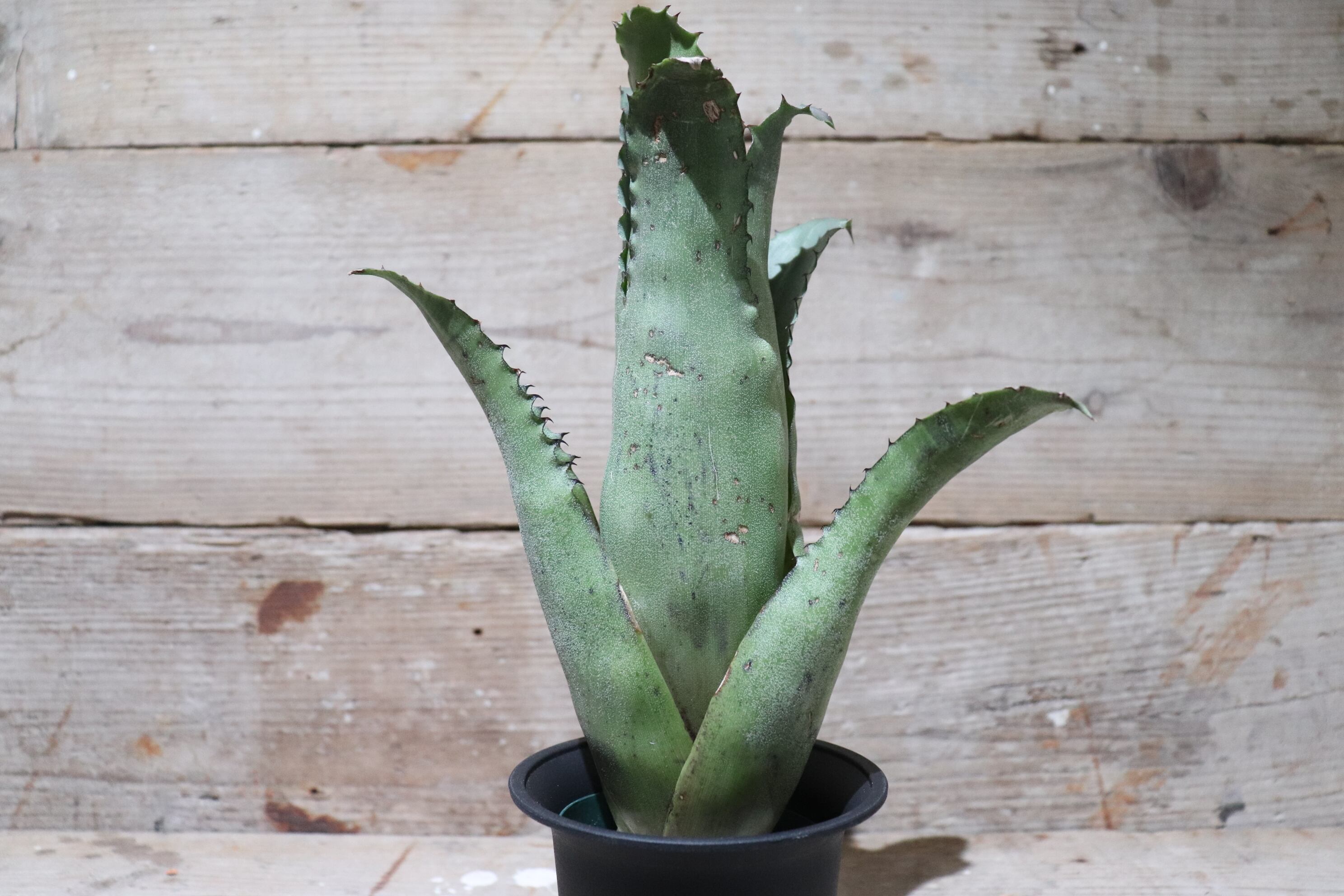 f830b7ffe0d7a62d8ae5e2d3d95ecf