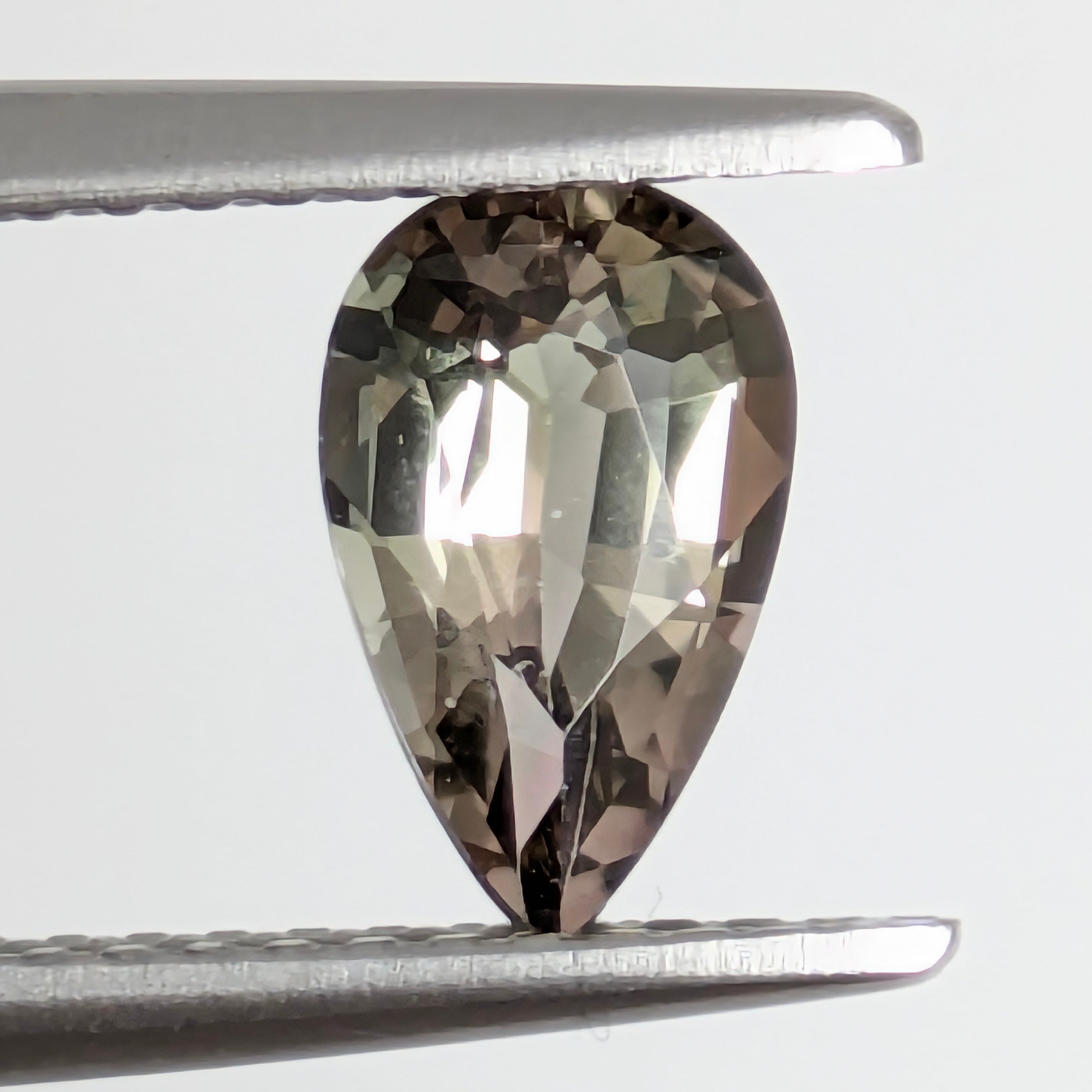 バイカラートルマリンルース【0.81ct】 PRO208674 | Gem's Subculture