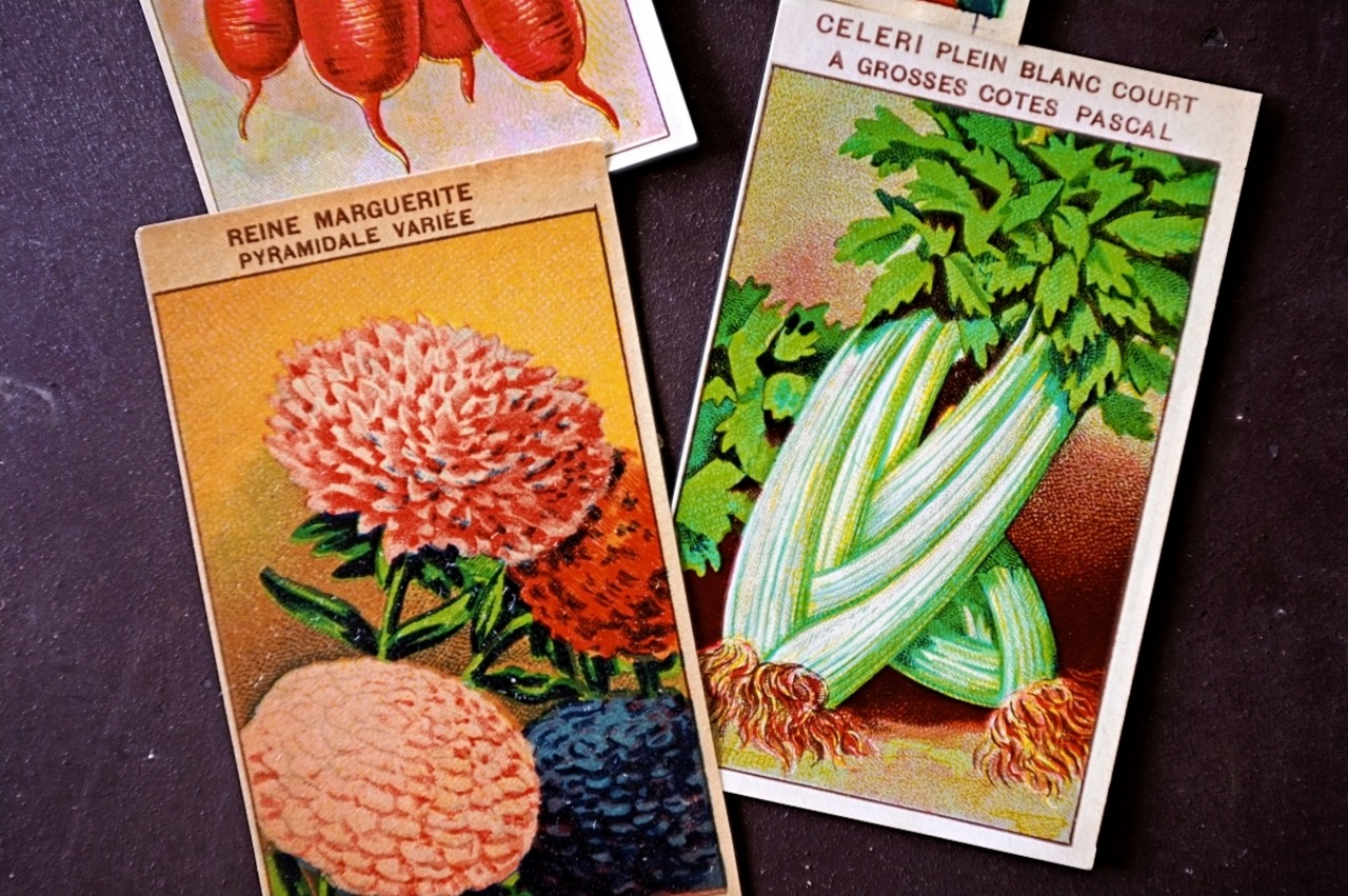 20s フランス 4set 膨満な花々と野菜たち 種子袋用ラベルi アンティーク