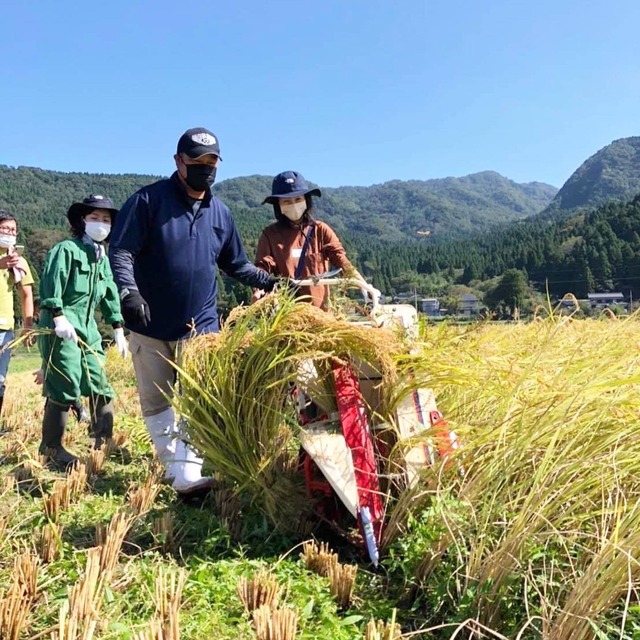 満員御礼・受付終了【2023年10月1日開催】焼山・早川 秋の新米まつり！稲刈り＆豚汁ランチ in 清耕園ファーム