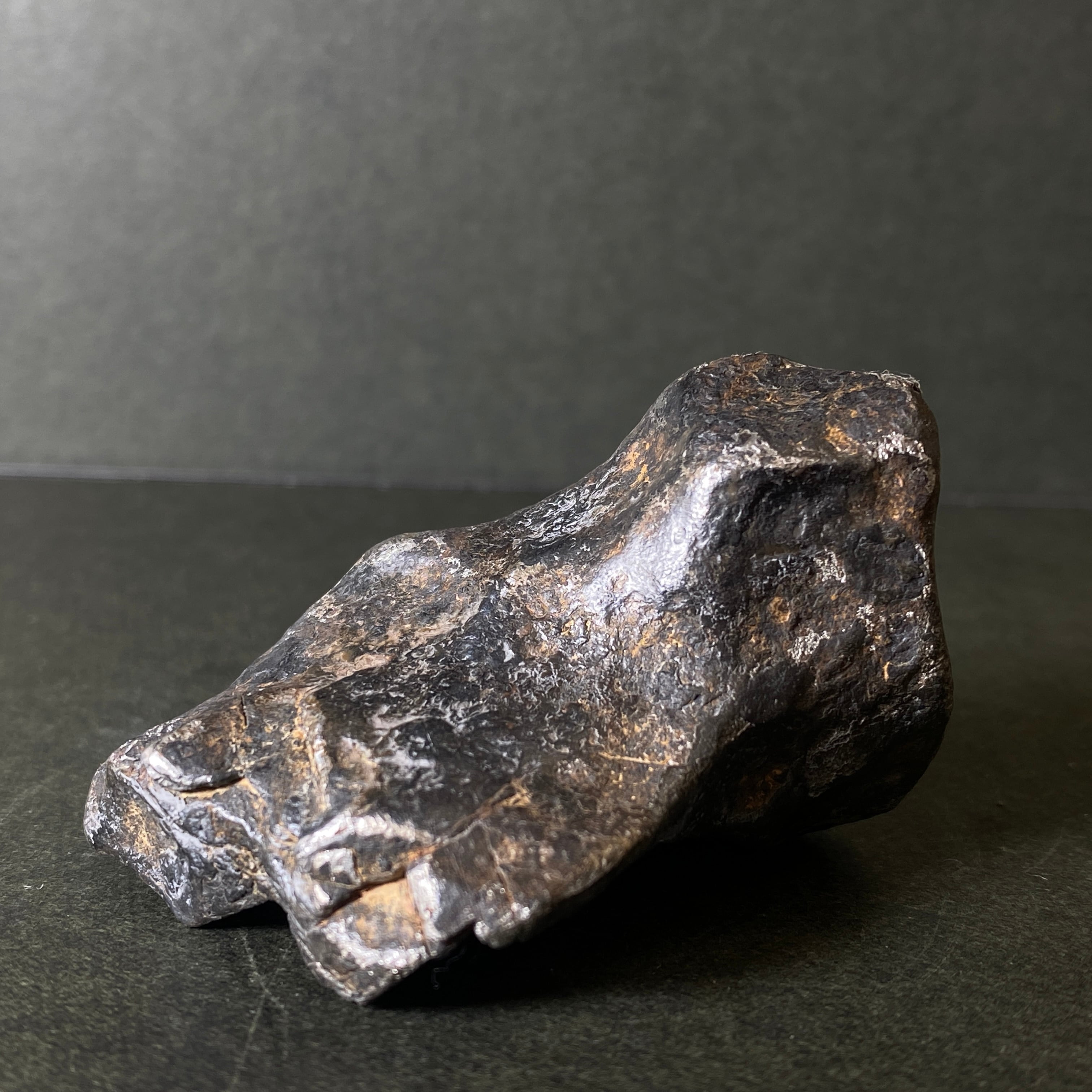 大型】ギベオン隕石 Gibeon Meteorite 25103101 | 【隕石屋】METEOS