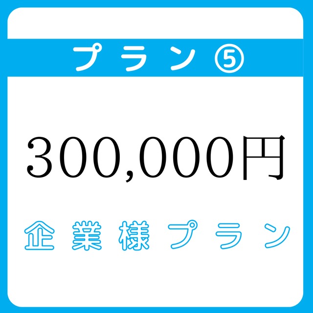 企業様プラン⑤300,000円コース