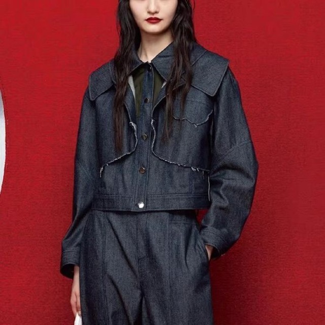 デザイン デニム ジャケット 239762