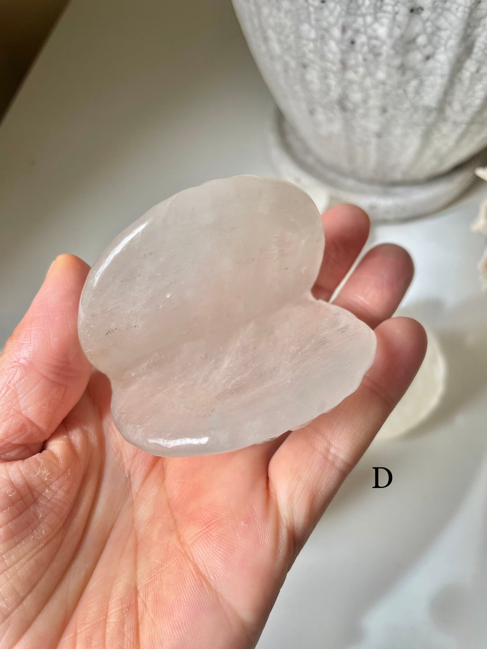 Crystal Shell / 水晶　貝