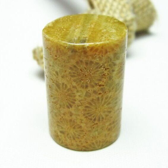 珊瑚 フォッシルコーラル 磨き石 穴なし [M便 1/10] 112-3906