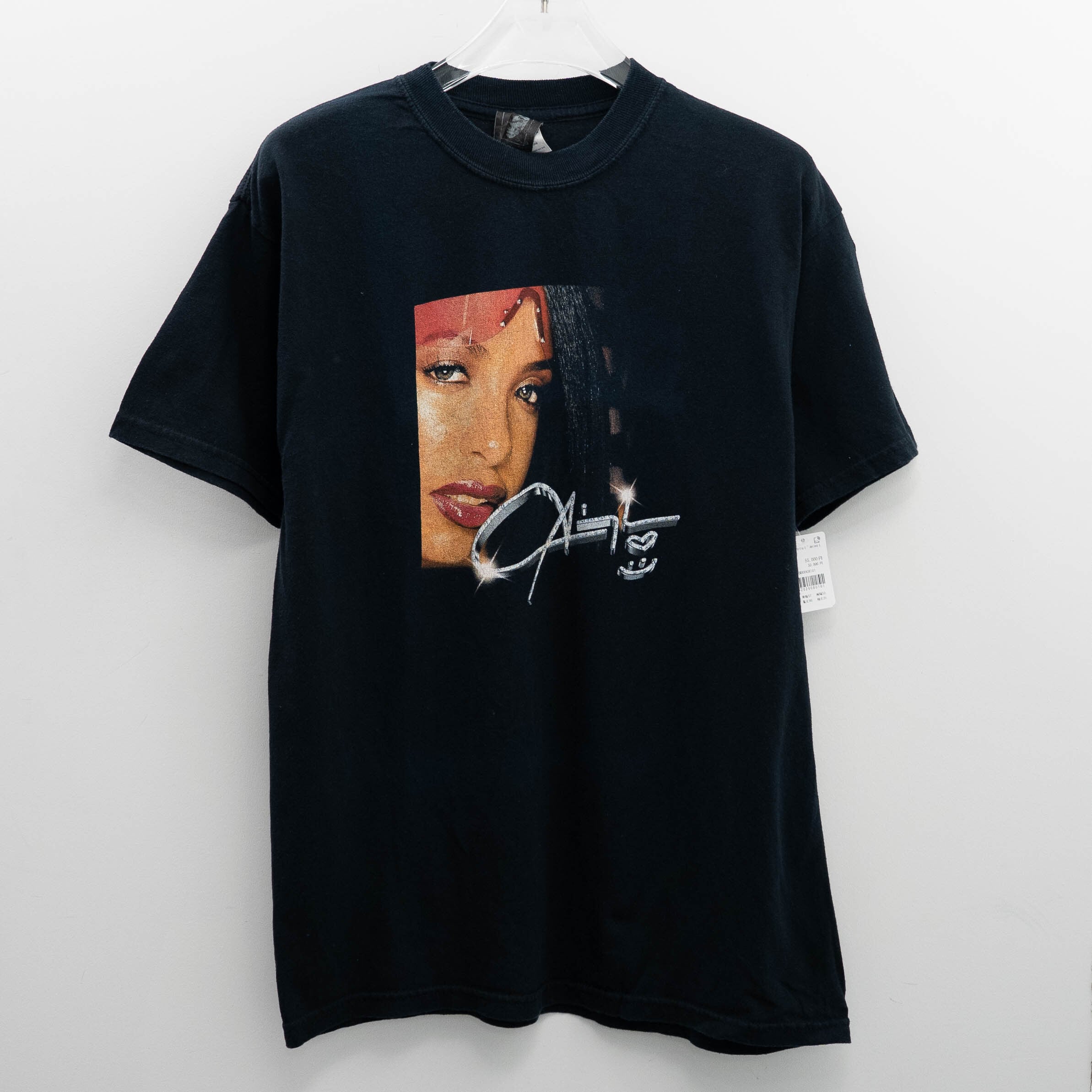 Aaliyah " Portrait " Jerzees L【E8-101】