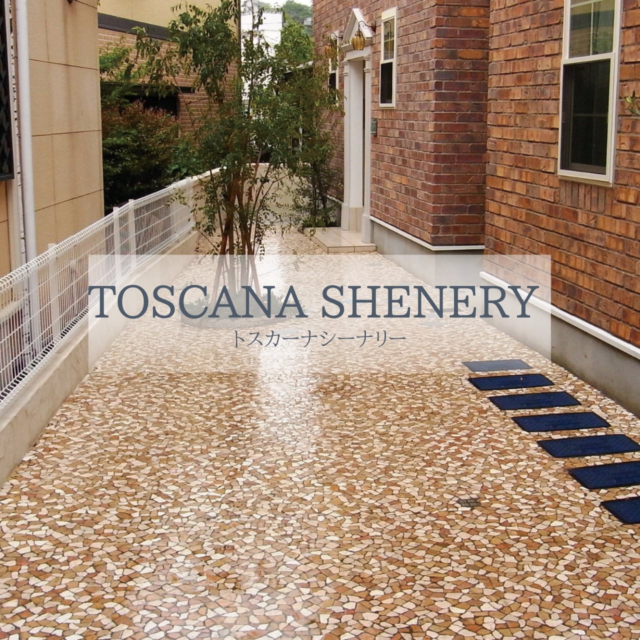 トスカーナシーナリー TOSCANA SHENERY