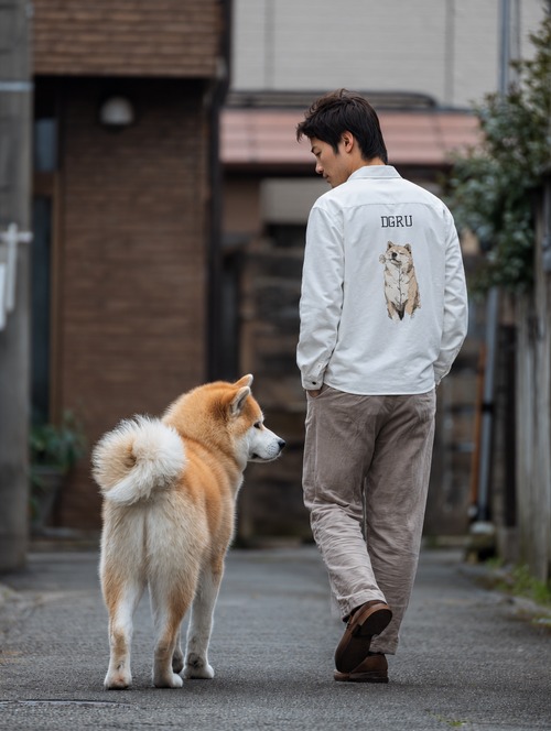 秋田犬　比翼カラーシャツ