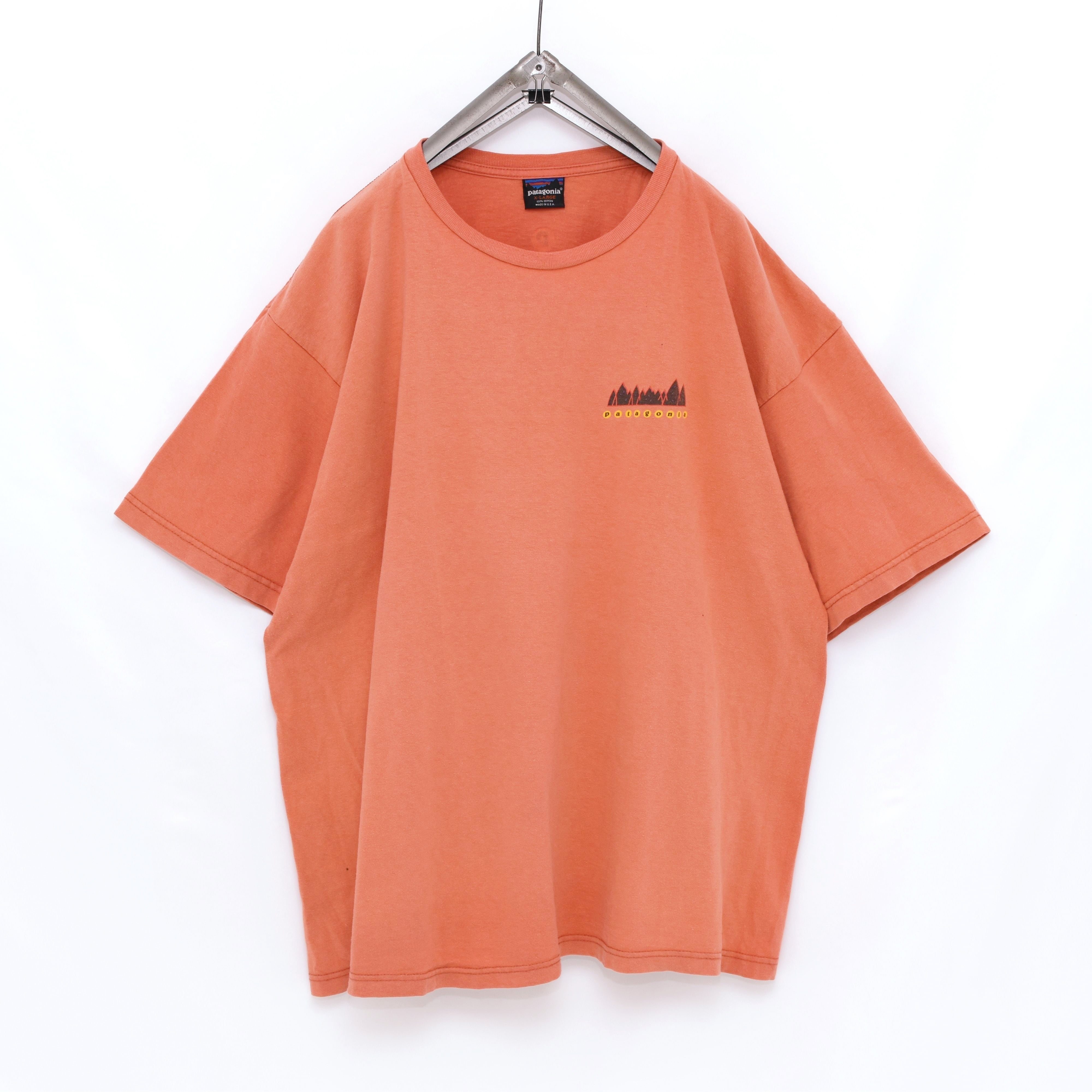 パタゴニア  patagonia  Tシャツ　アメリカ製　黒タグ