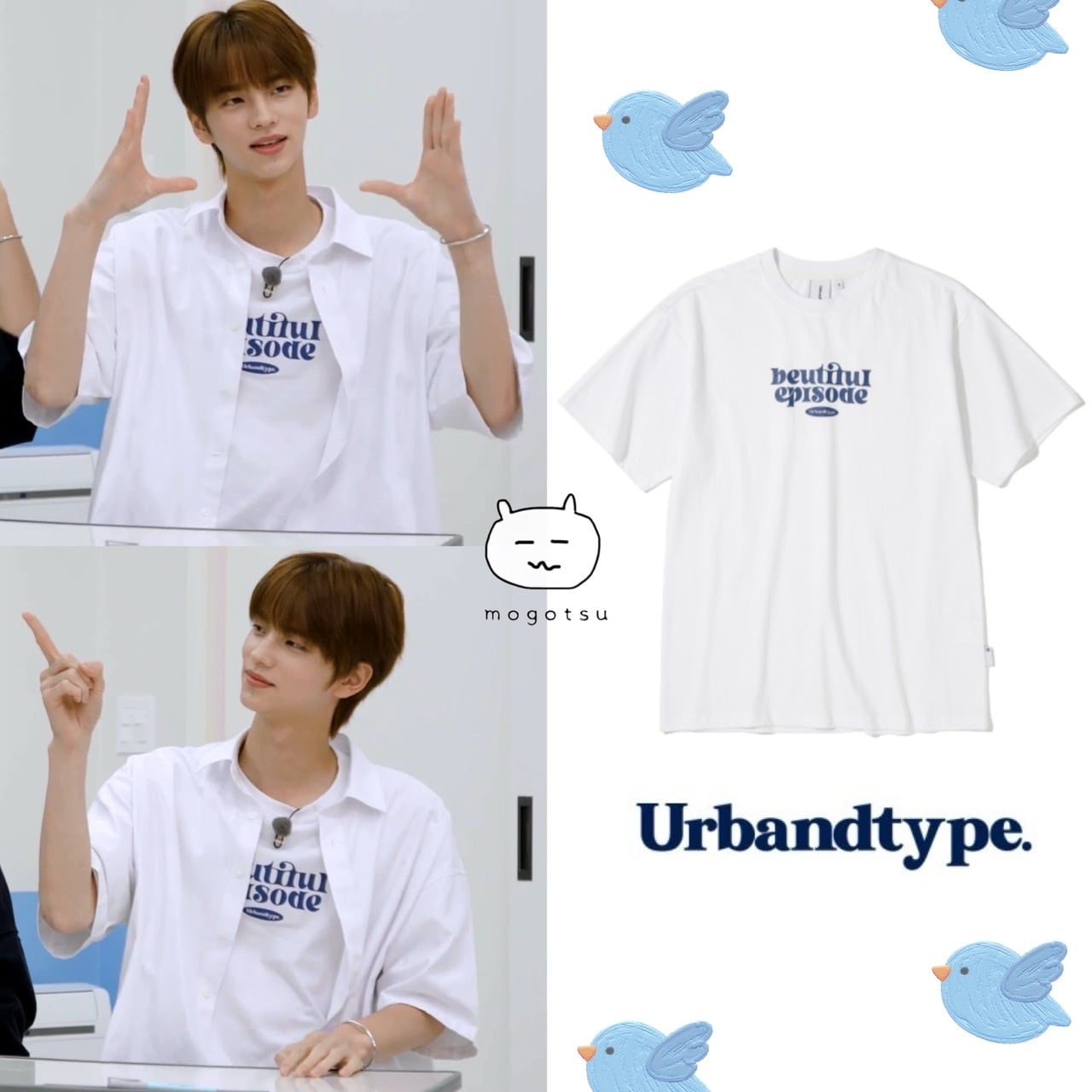 シニュ | もごつ