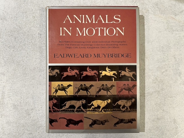 【VO091】Animals in Motion /visual book