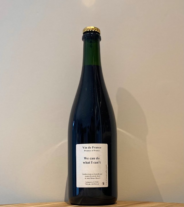 ウィ･キャン･ドゥ･ワット･アイ･キャント【2018】/アンダース･フレデリック･スティーン