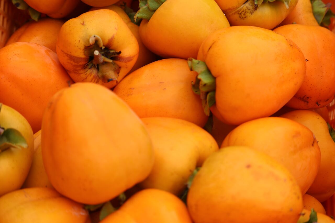 送料半額】ザ・広島ブランド祇園坊あおし柿（渋抜き）12個 | あき