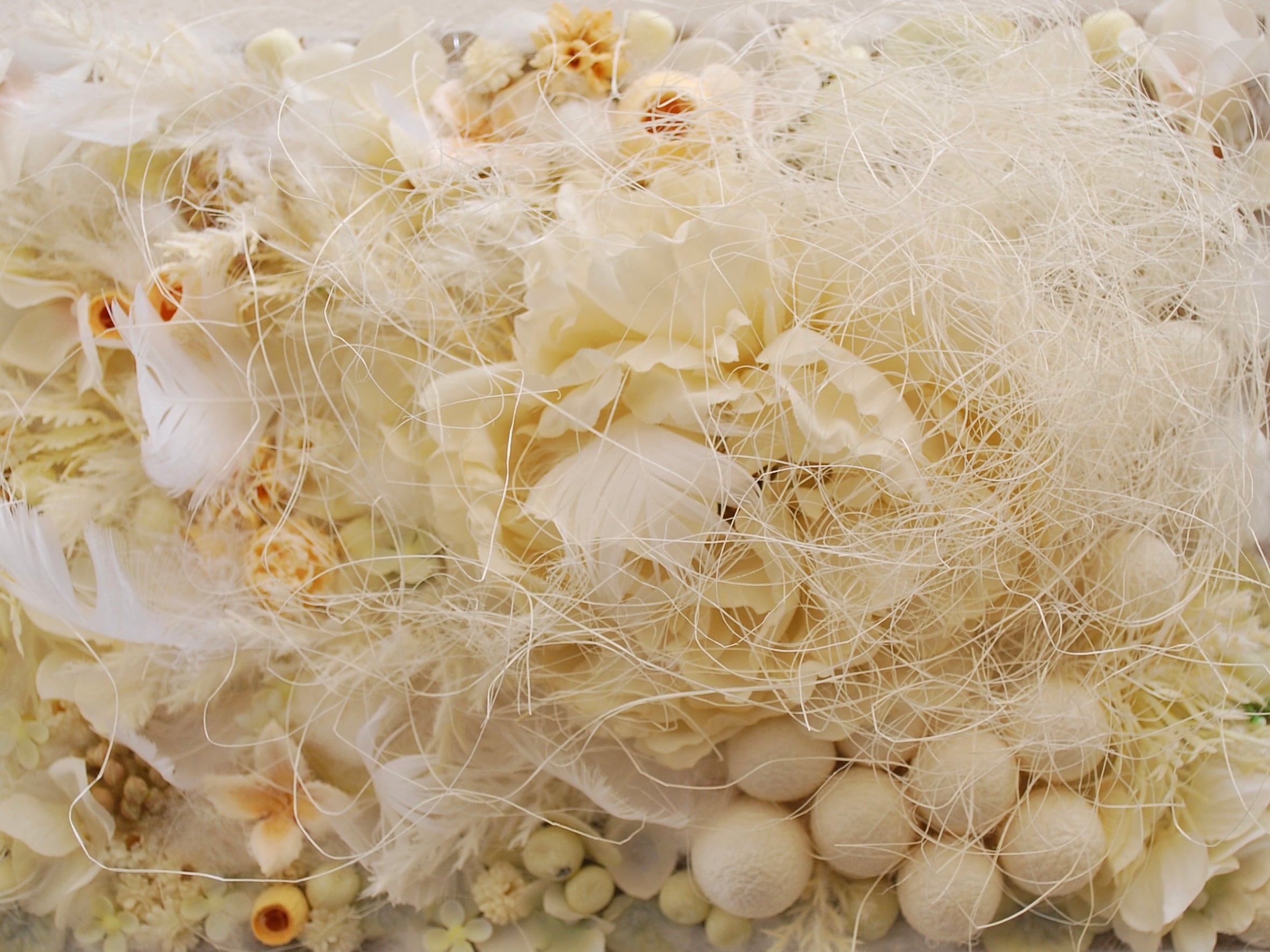 carpet of flowers Whitewarm