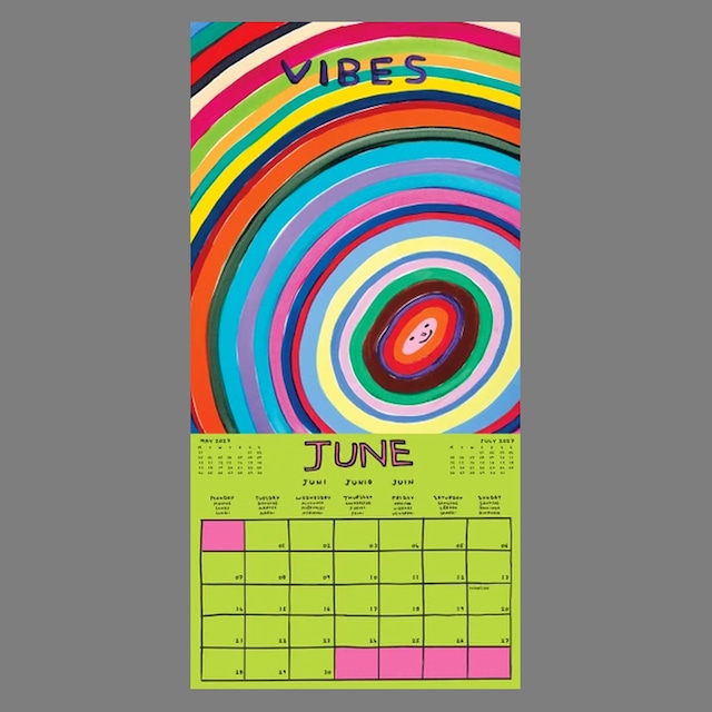 〈予約中〉DAVID SHRIGLEY：2027 WALL CALENDAR