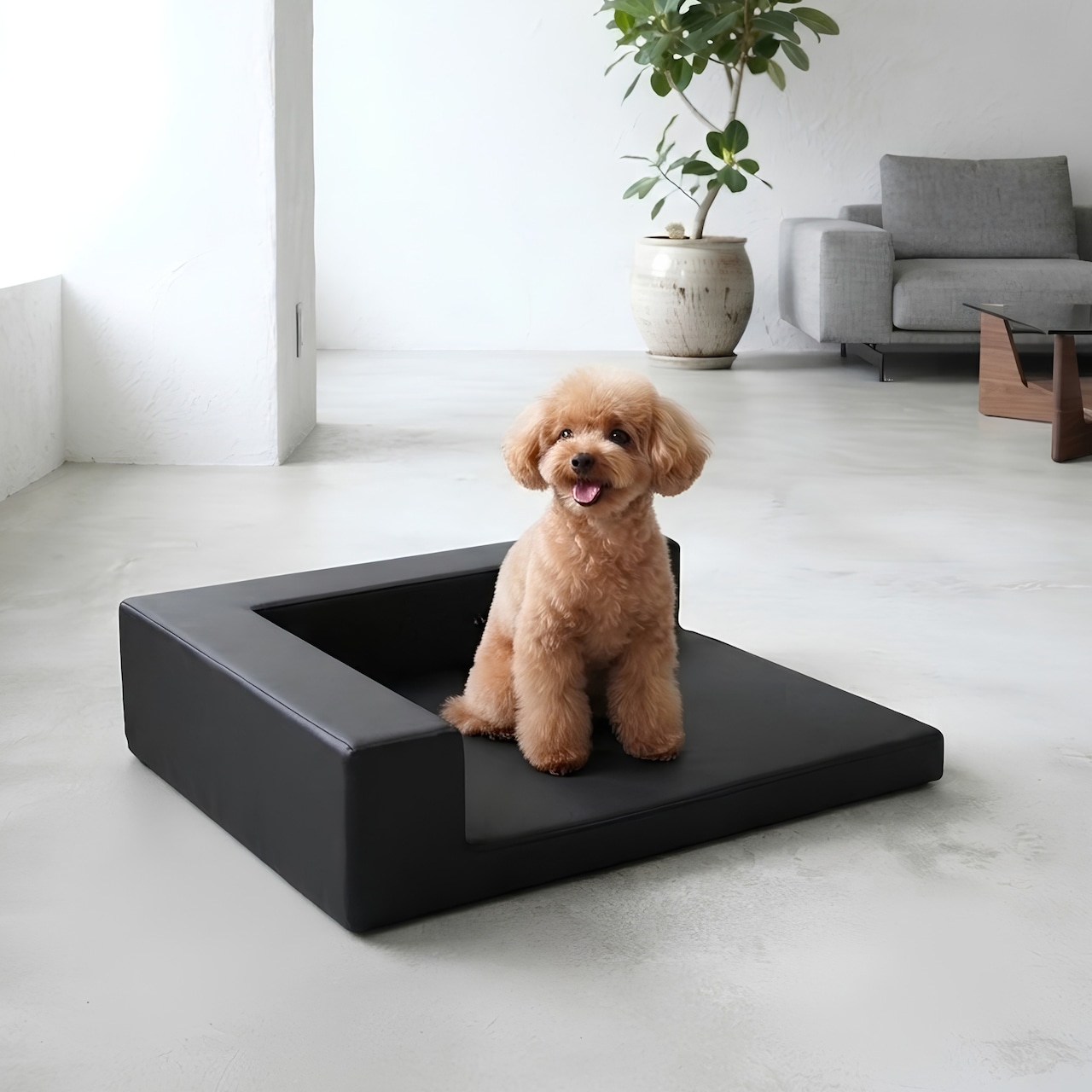 BUDDY BED BLACK