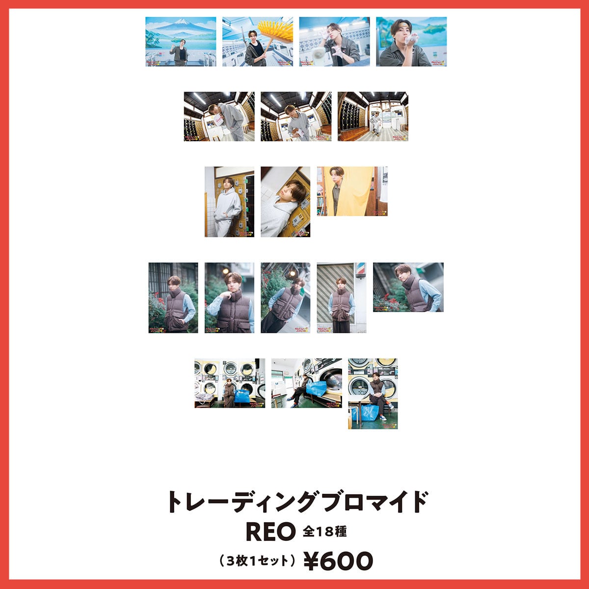 トレーディングブロマイドPAIR全24種（3枚1セット） | WanNya Shop