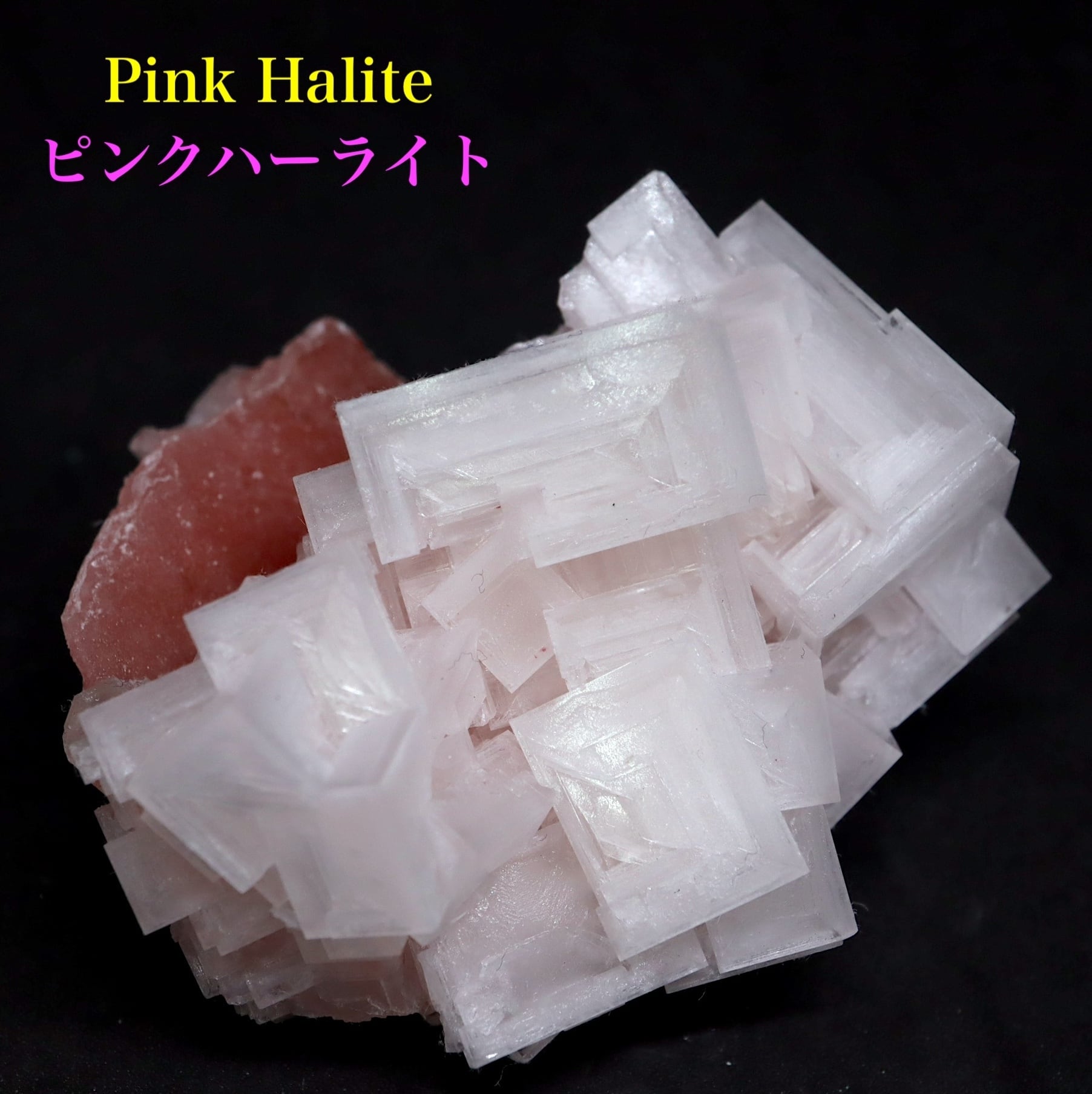 ハライト宝石：特性、意味、価値など カリフォルニア産|pink Halite