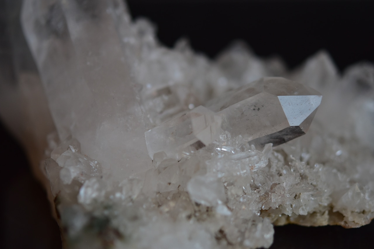 〈パートナーシップを深める〉スイスクオーツ