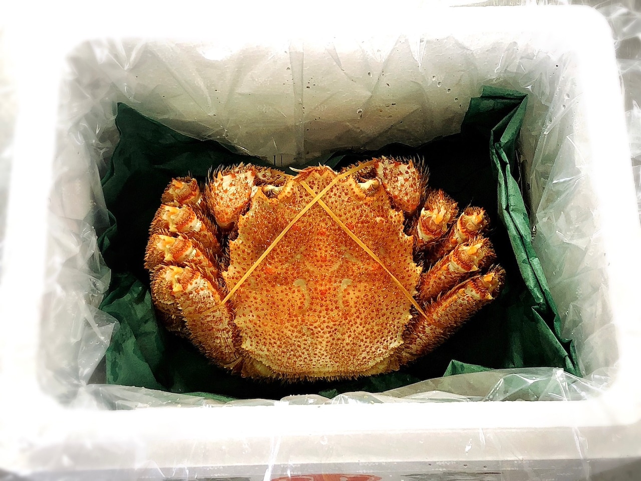 毛蟹300g前後 1尾【ボイル冷凍】※1人前